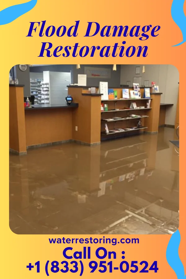 Flood Damage Restoration in Iron Ridge, WI