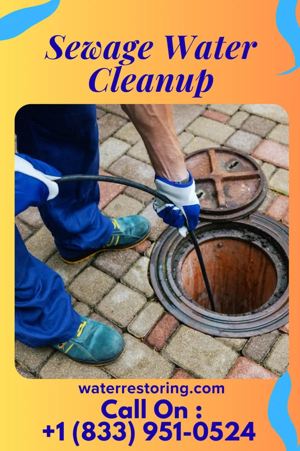 Sewage Water Cleanup in Iron Ridge, WI