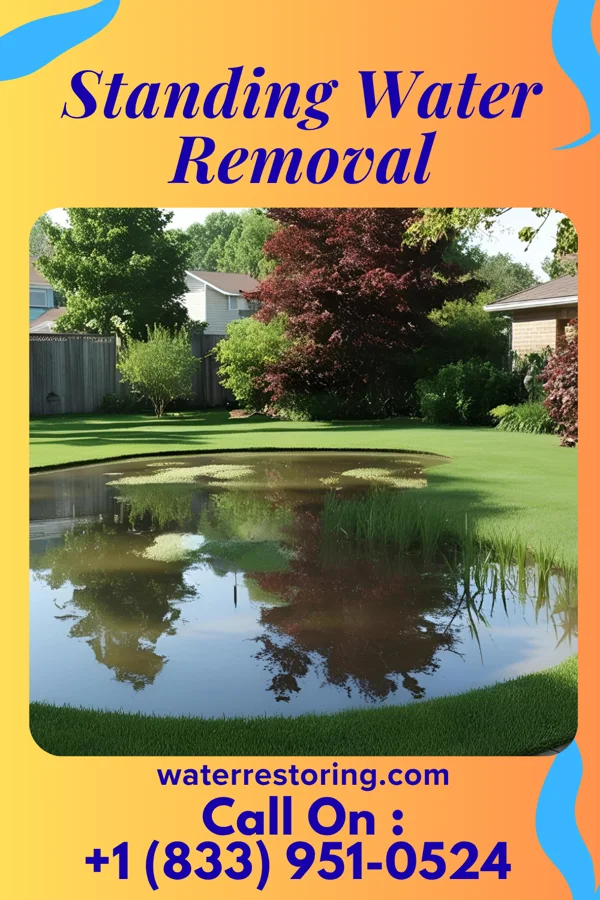 Standing Water Removal in Iron Ridge, WI